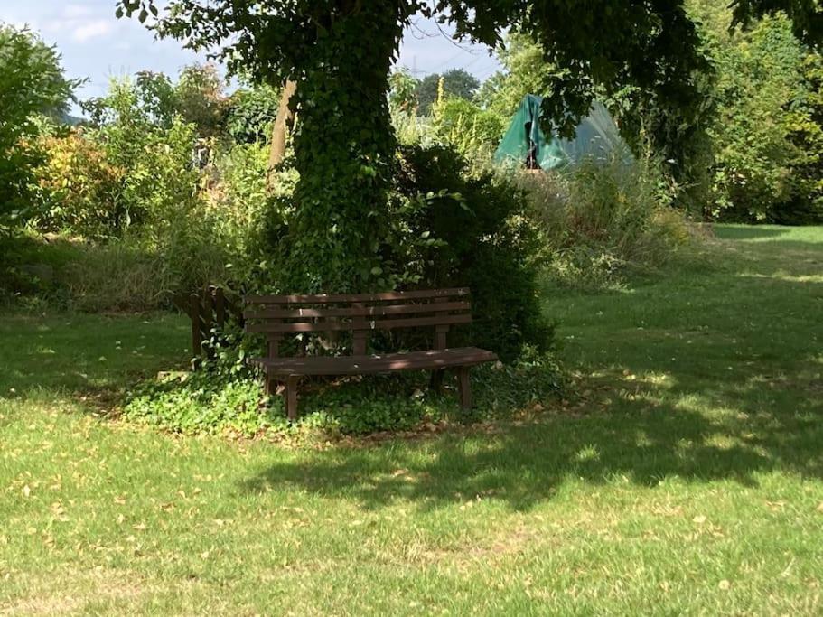 Helle Wohnung Mit Wintergarten - Nahe Ruhrgebiet Und Freizeitpark Movie Park Bottrop Bagian luar foto